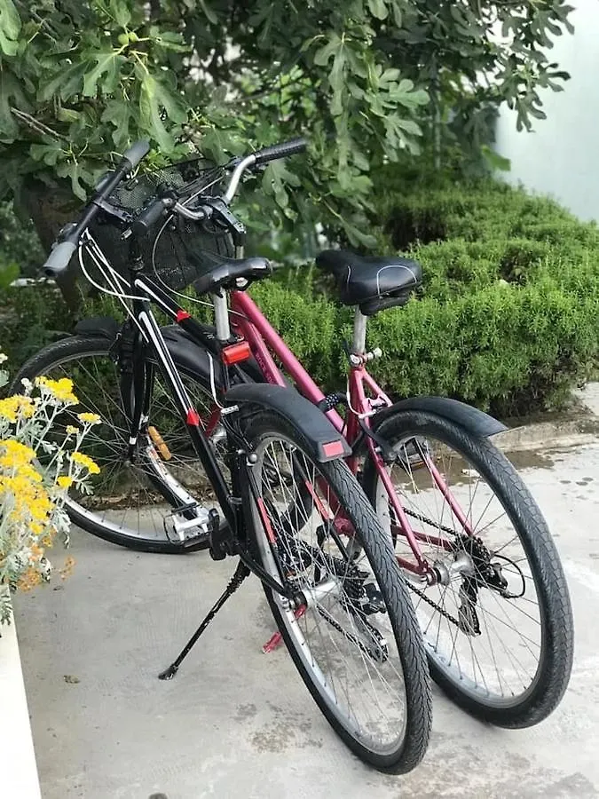Apartment Bartol With Free Bikes And Great Local Food